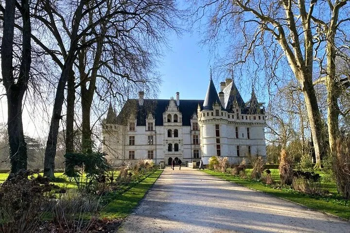 Formal gardens of Chateau de Villandry on a half-day Loire Valley castles tour from Tours