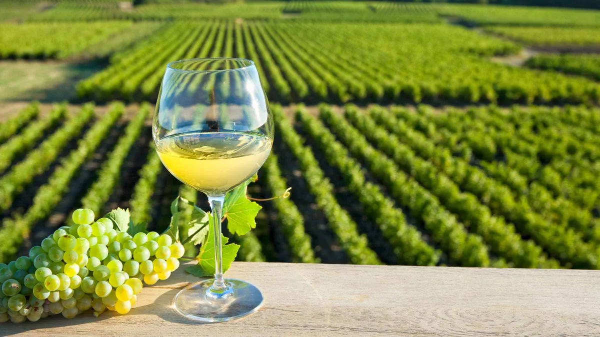 Chinon vineyards and old town, a wine day to combine with a Loire Valley castles tour from Tours
