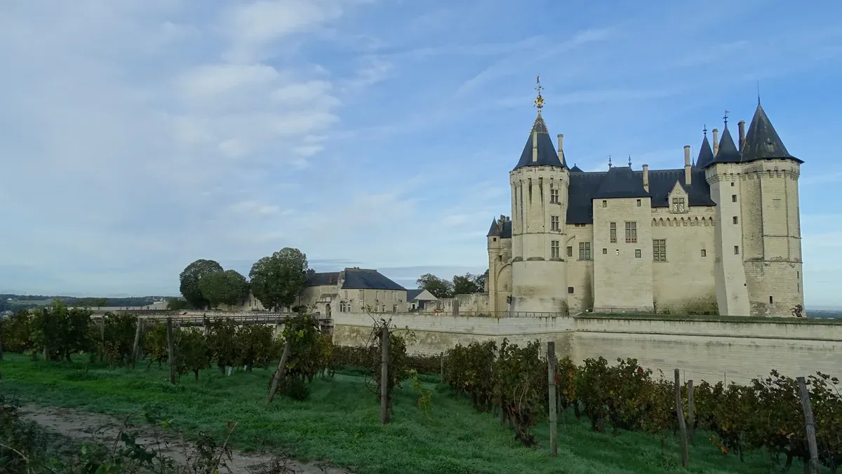Château de Saumur above vineyards, a western stop on a Loire Valley castles tour