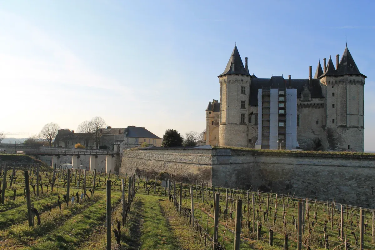 Château de Saumur beside vineyard rows on the Loire Valley castles tour map